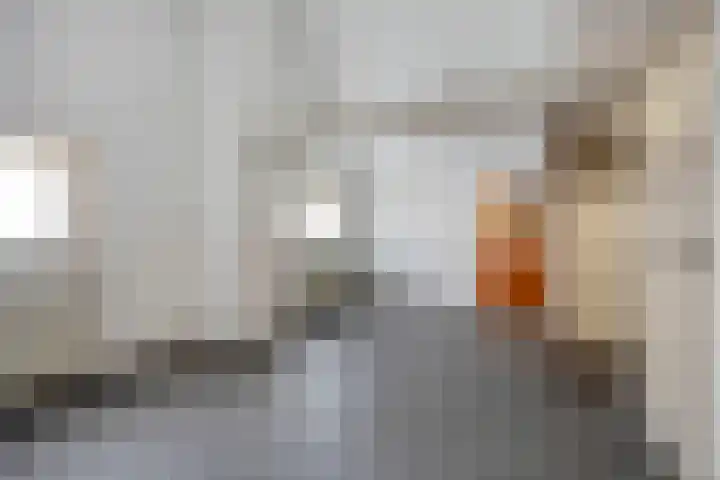 Virmundtstraat 29 Gemert thumbnail 41
