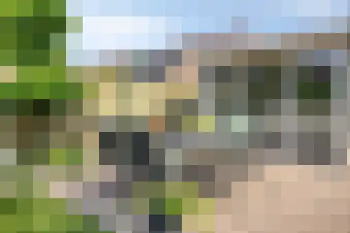 Virmundtstraat 29 Gemert thumbnail 46