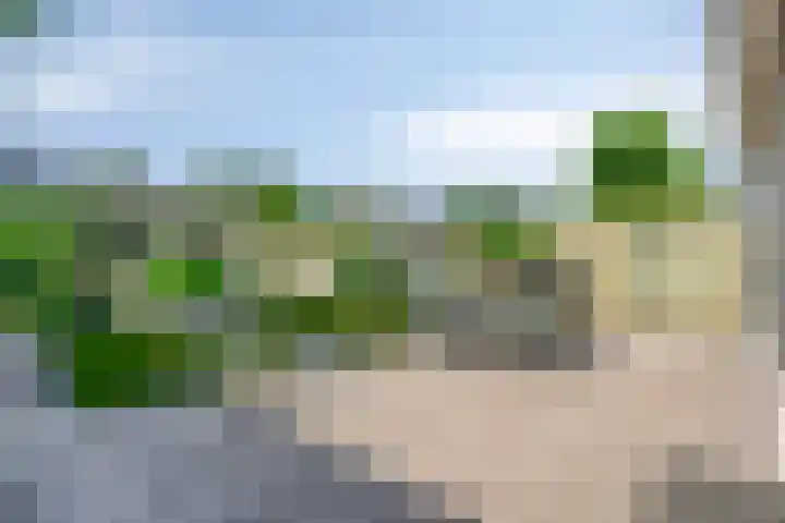 Virmundtstraat 29 Gemert thumbnail 47