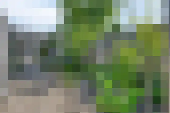 Virmundtstraat 29 Gemert thumbnail 53
