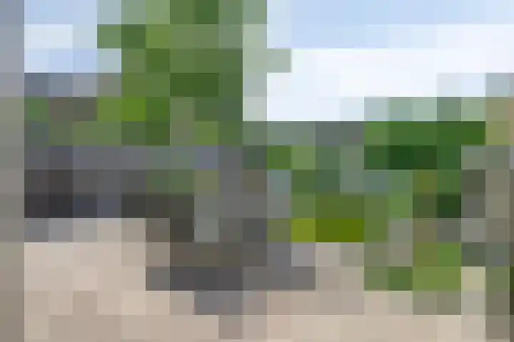 Virmundtstraat 29 Gemert thumbnail 54