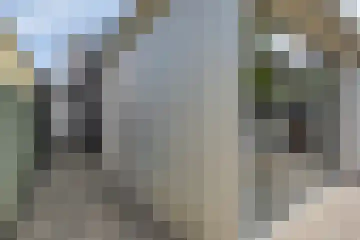 Virmundtstraat 29 Gemert thumbnail 55