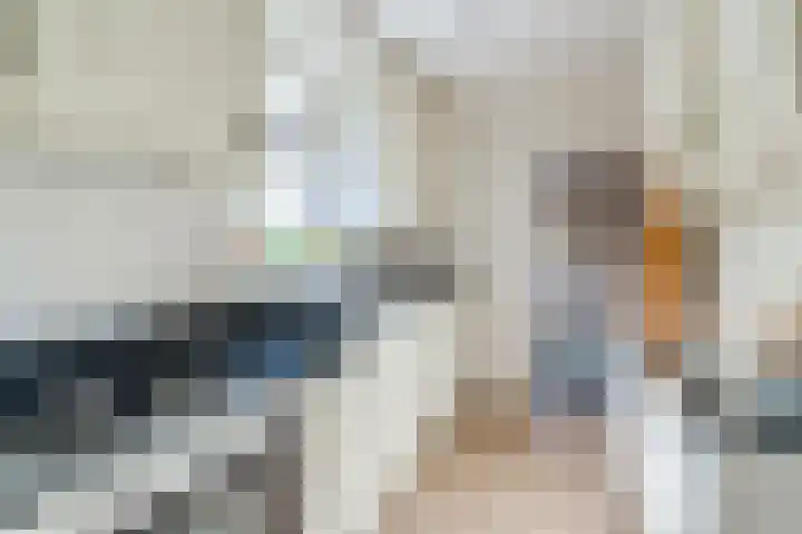 Virmundtstraat 84 Gemert thumbnail 13