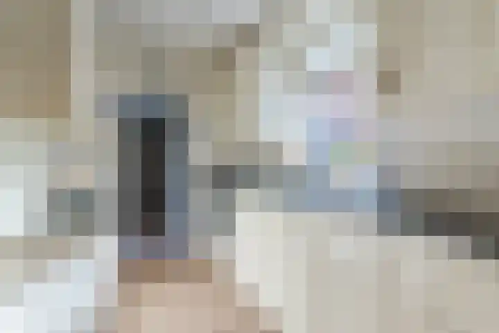 Virmundtstraat 84 Gemert thumbnail 15