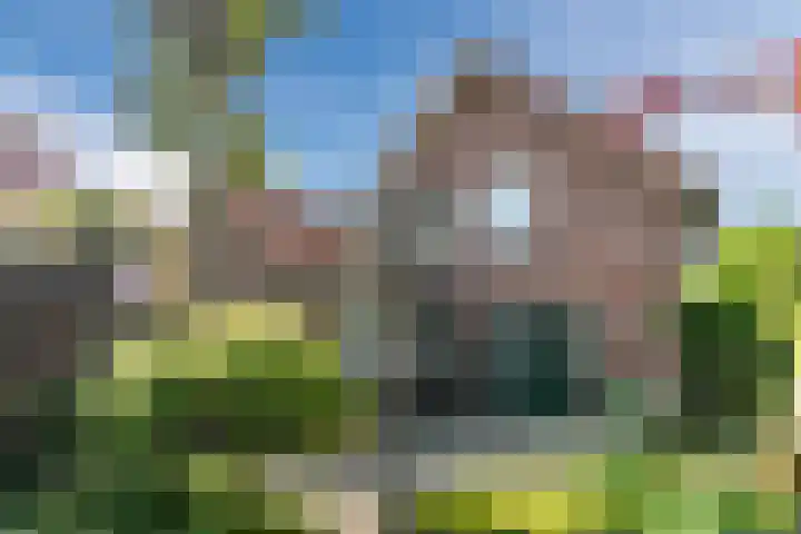 Virmundtstraat 84 Gemert thumbnail 23