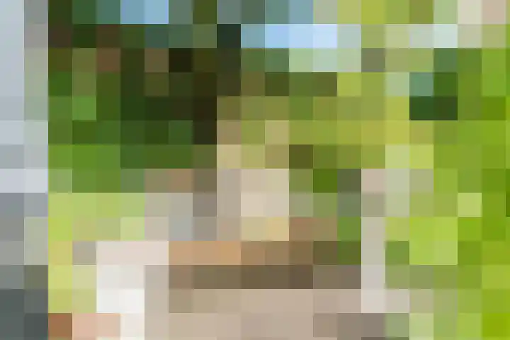 Virmundtstraat 84 Gemert thumbnail 27