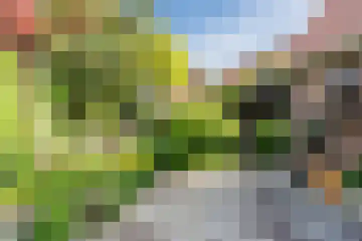 Virmundtstraat 84 Gemert thumbnail 29