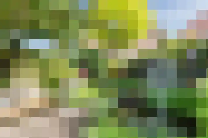 Virmundtstraat 84 Gemert thumbnail 5