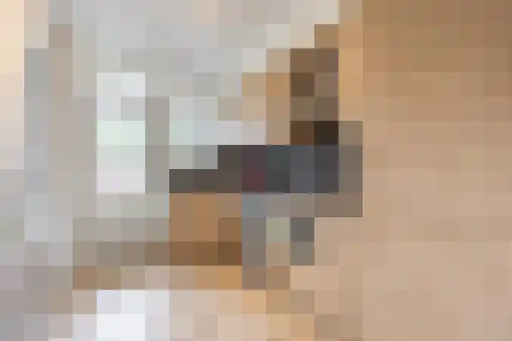 Virmundtstraat 87 Gemert thumbnail 15