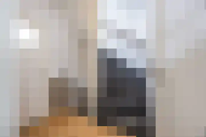 Virmundtstraat 87 Gemert thumbnail 16