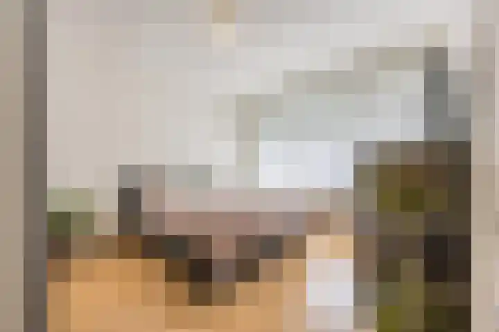 Virmundtstraat 87 Gemert thumbnail 18