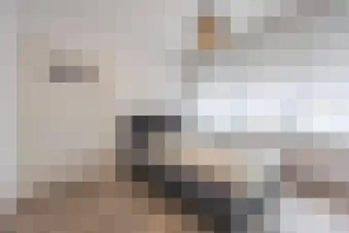 Virmundtstraat 87 Gemert thumbnail 20