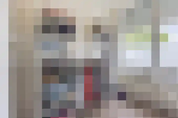 Virmundtstraat 87 Gemert thumbnail 22