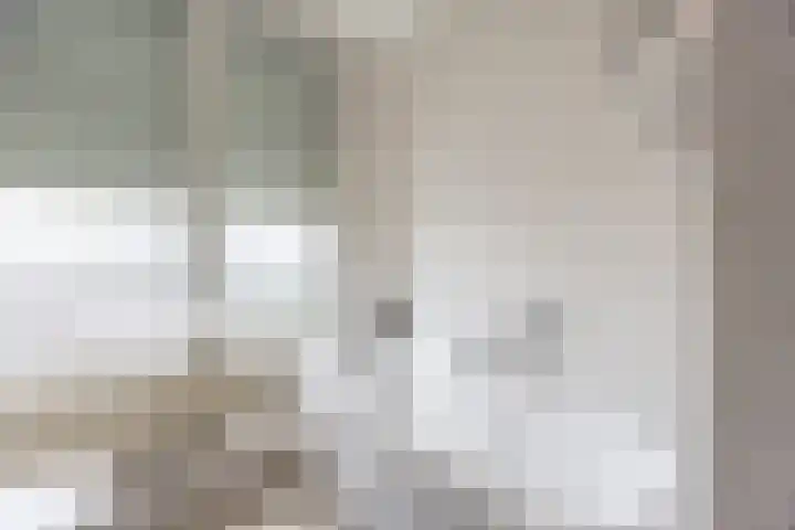 Virmundtstraat 87 Gemert thumbnail 25