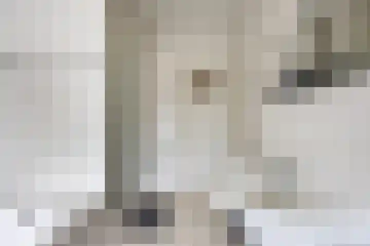 Virmundtstraat 87 Gemert thumbnail 27