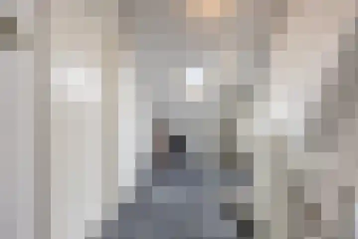 Virmundtstraat 87 Gemert thumbnail 28