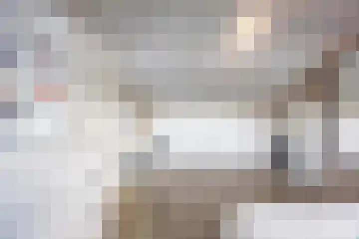 Virmundtstraat 87 Gemert thumbnail 31