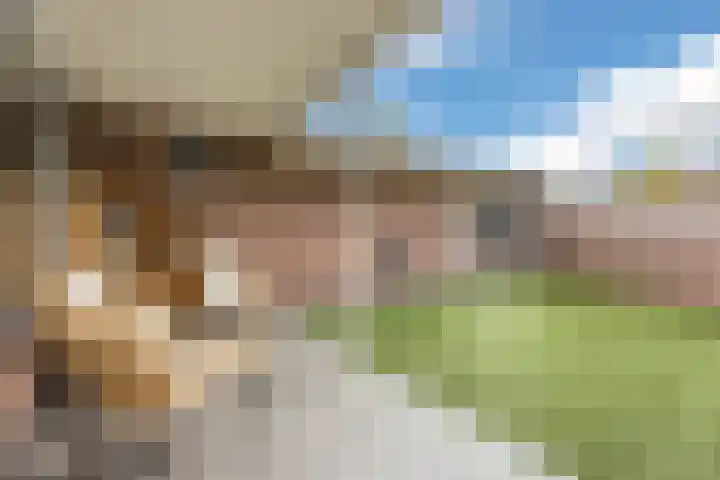 Virmundtstraat 87 Gemert thumbnail 34