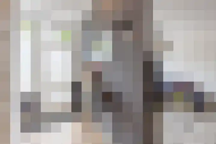 Virmundtstraat 87 Gemert thumbnail 6