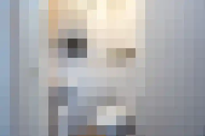 Virmundtstraat 87 Gemert thumbnail 8