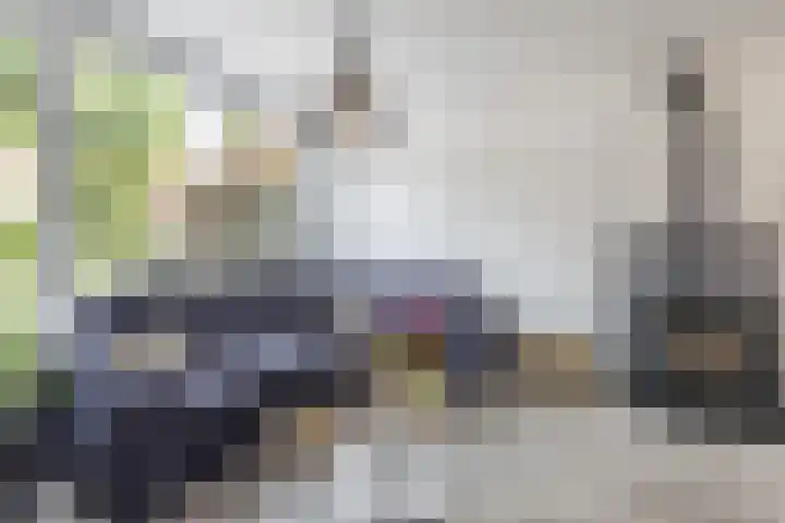 Virmundtstraat 87 Gemert thumbnail 9