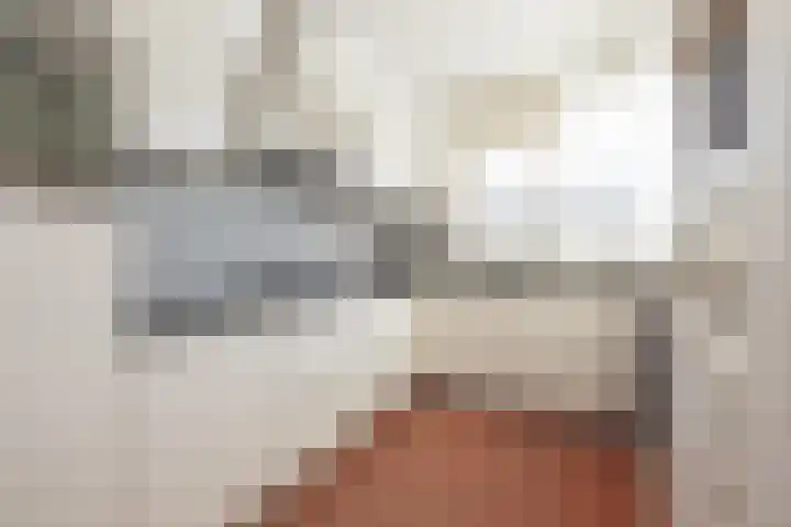 Virulyhof 9 Sassenheim thumbnail 12