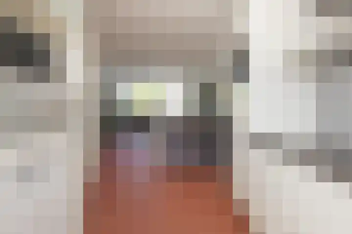 Virulyhof 9 Sassenheim thumbnail 13
