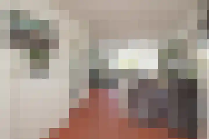 Virulyhof 9 Sassenheim thumbnail 14