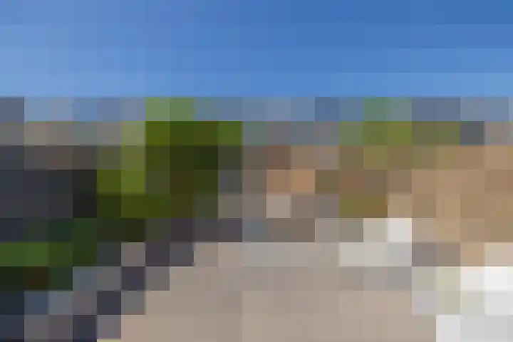 Virulyhof 9 Sassenheim thumbnail 19