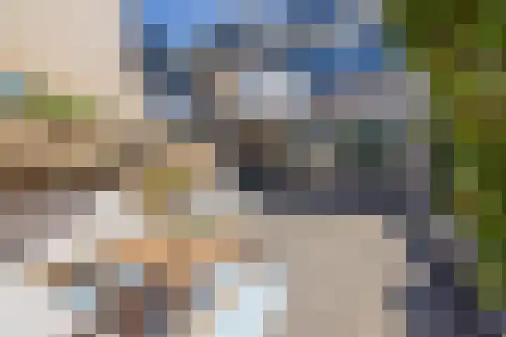 Virulyhof 9 Sassenheim thumbnail 21