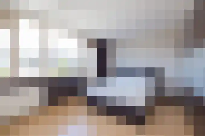 Virulyhof 9 Sassenheim thumbnail 24