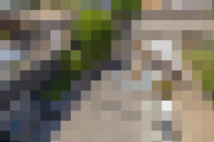 Virulyhof 9 Sassenheim thumbnail 27