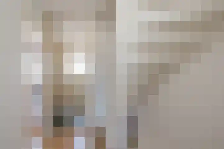 Virulyhof 9 Sassenheim thumbnail 28