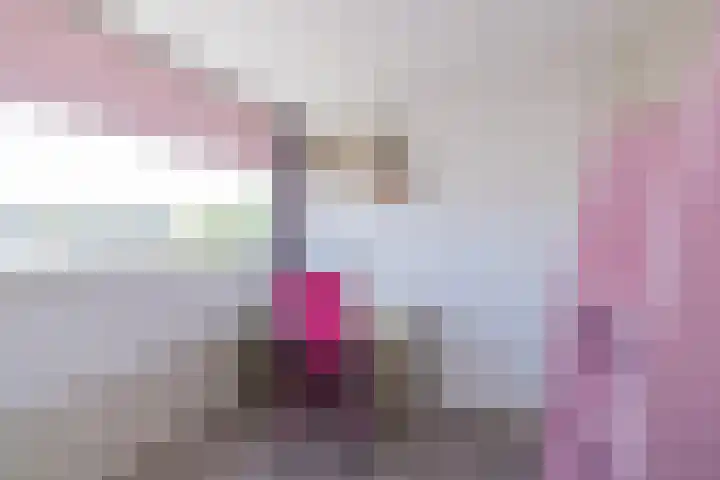 Virulyhof 9 Sassenheim thumbnail 39