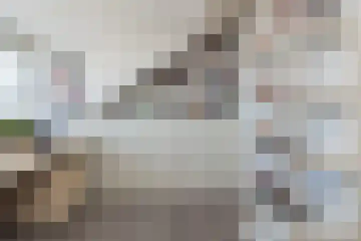 Virulyhof 9 Sassenheim thumbnail 41