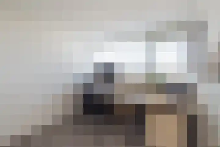 Virulyhof 9 Sassenheim thumbnail 42