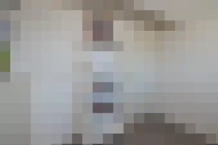 Virulyhof 9 Sassenheim thumbnail 43