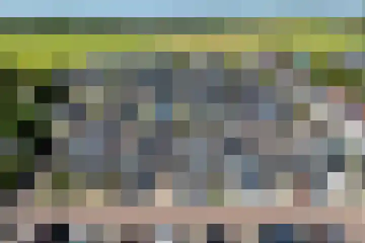 Virulyhof 9 Sassenheim thumbnail 51