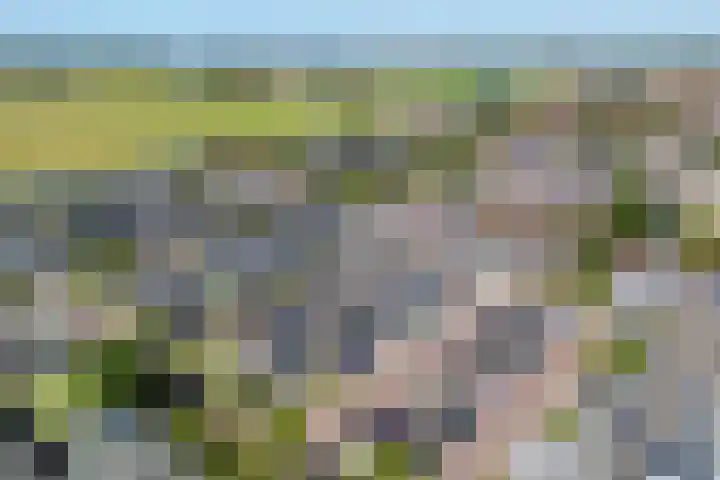 Virulyhof 9 Sassenheim thumbnail 52