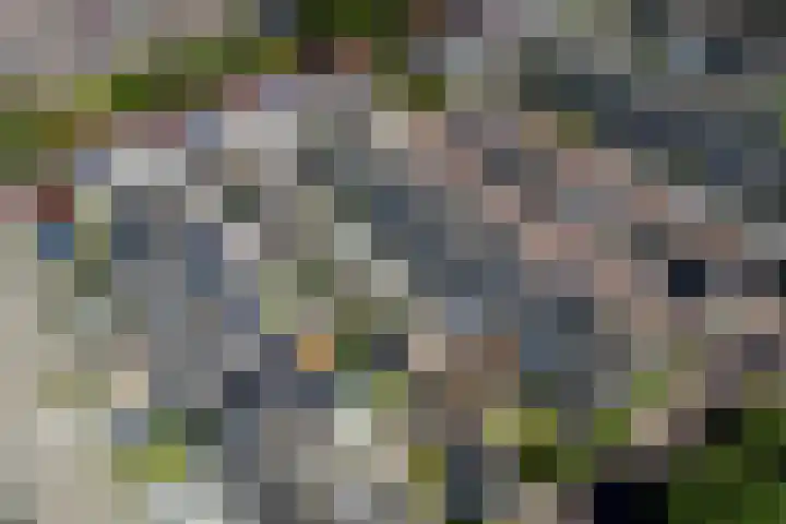 Virulyhof 9 Sassenheim thumbnail 53
