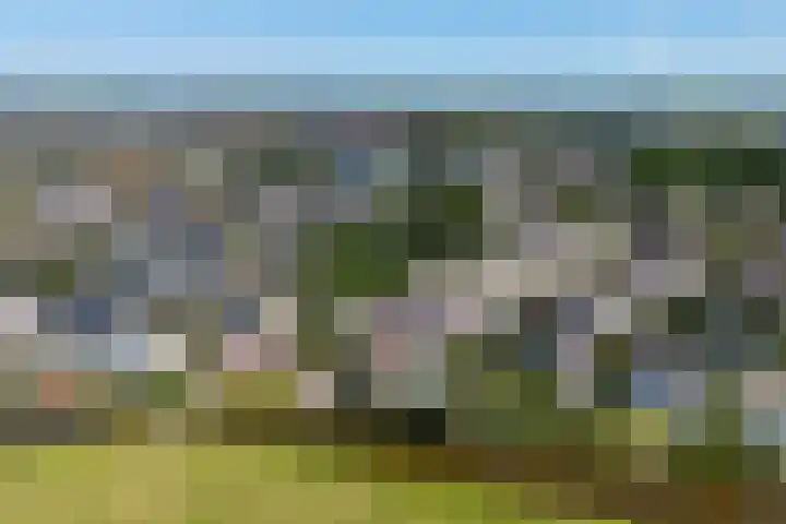 Virulyhof 9 Sassenheim thumbnail 54