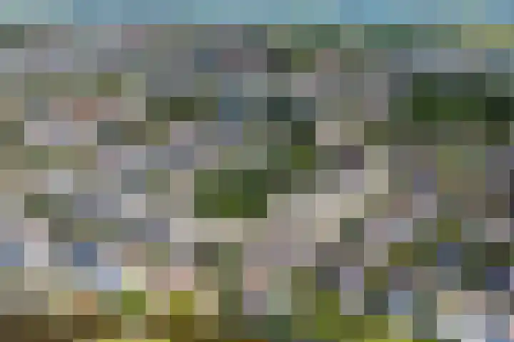 Virulyhof 9 Sassenheim thumbnail 55