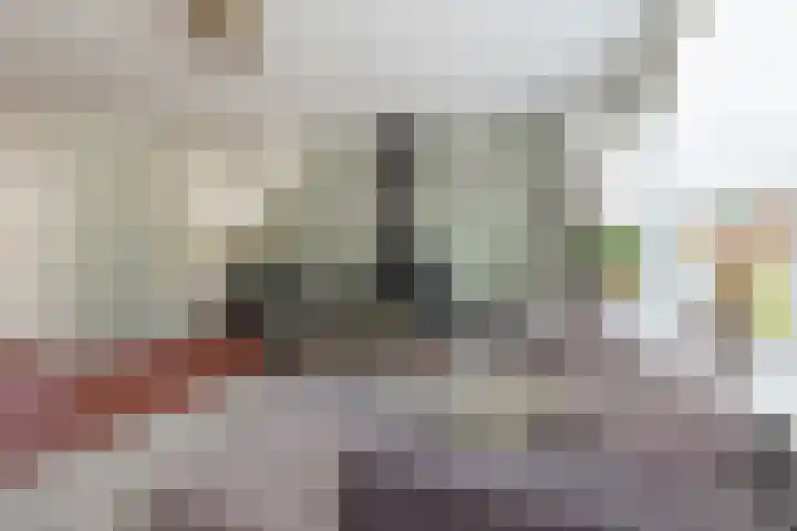 Virulyhof 9 Sassenheim thumbnail 6