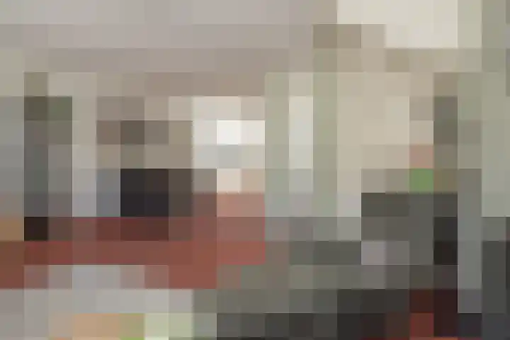 Virulyhof 9 Sassenheim thumbnail 7