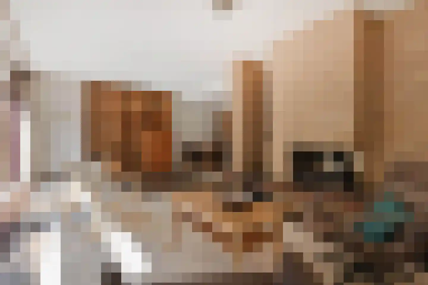 Virulylaan 9 Leidschendam thumbnail 17