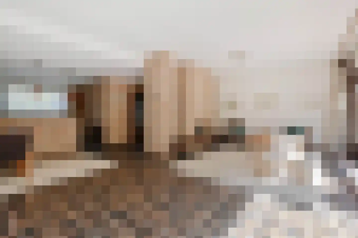 Virulylaan 9 Leidschendam thumbnail 18