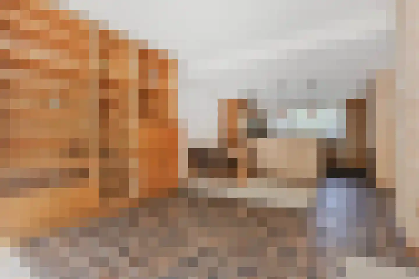 Virulylaan 9 Leidschendam thumbnail 19