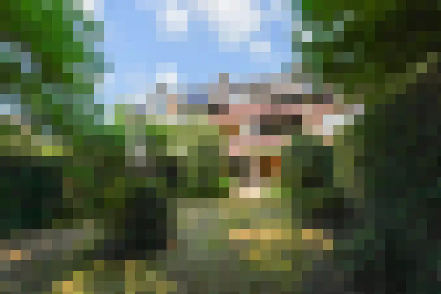 Virulylaan 9 Leidschendam thumbnail 24