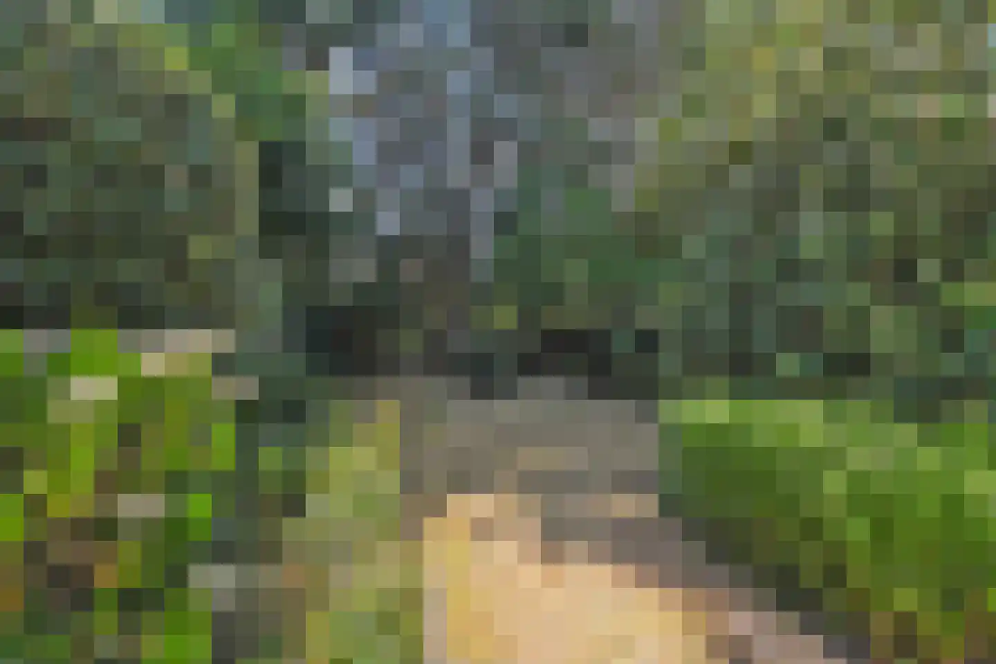 Virulylaan 9 Leidschendam thumbnail 26
