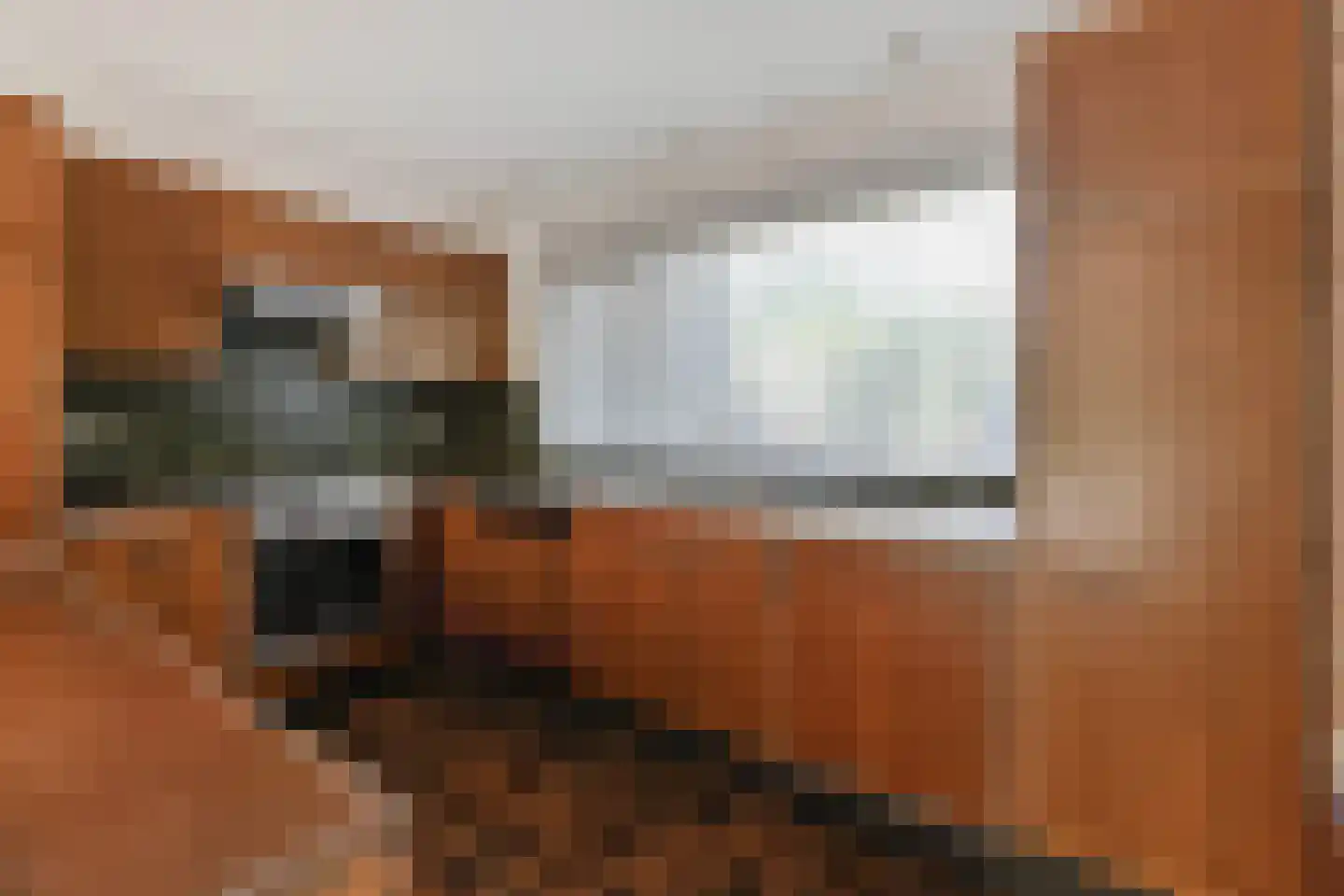 Virulylaan 9 Leidschendam thumbnail 4